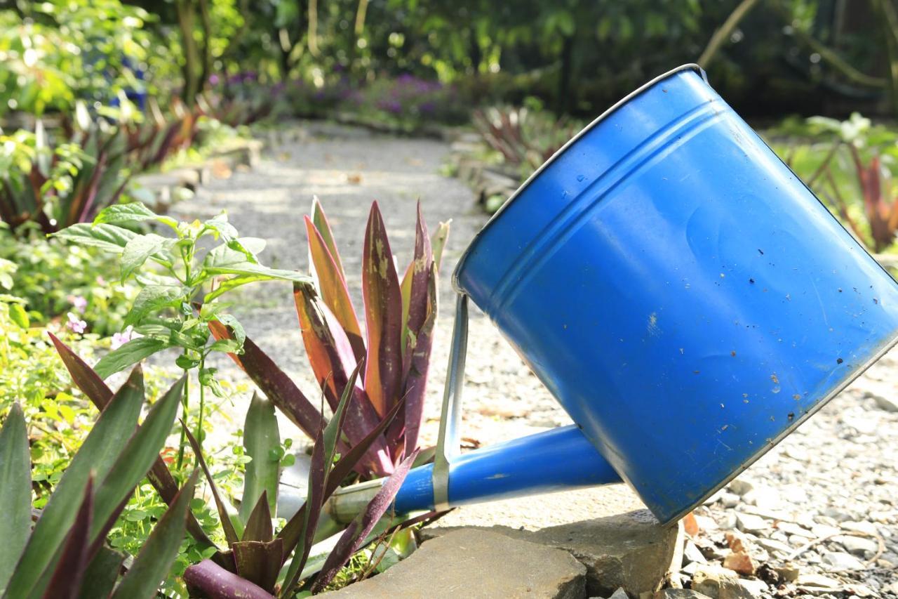 Homestay Vuon Trai Cay Nhiet Doi Vo Uu Garden Bao Loc Exteriör bild