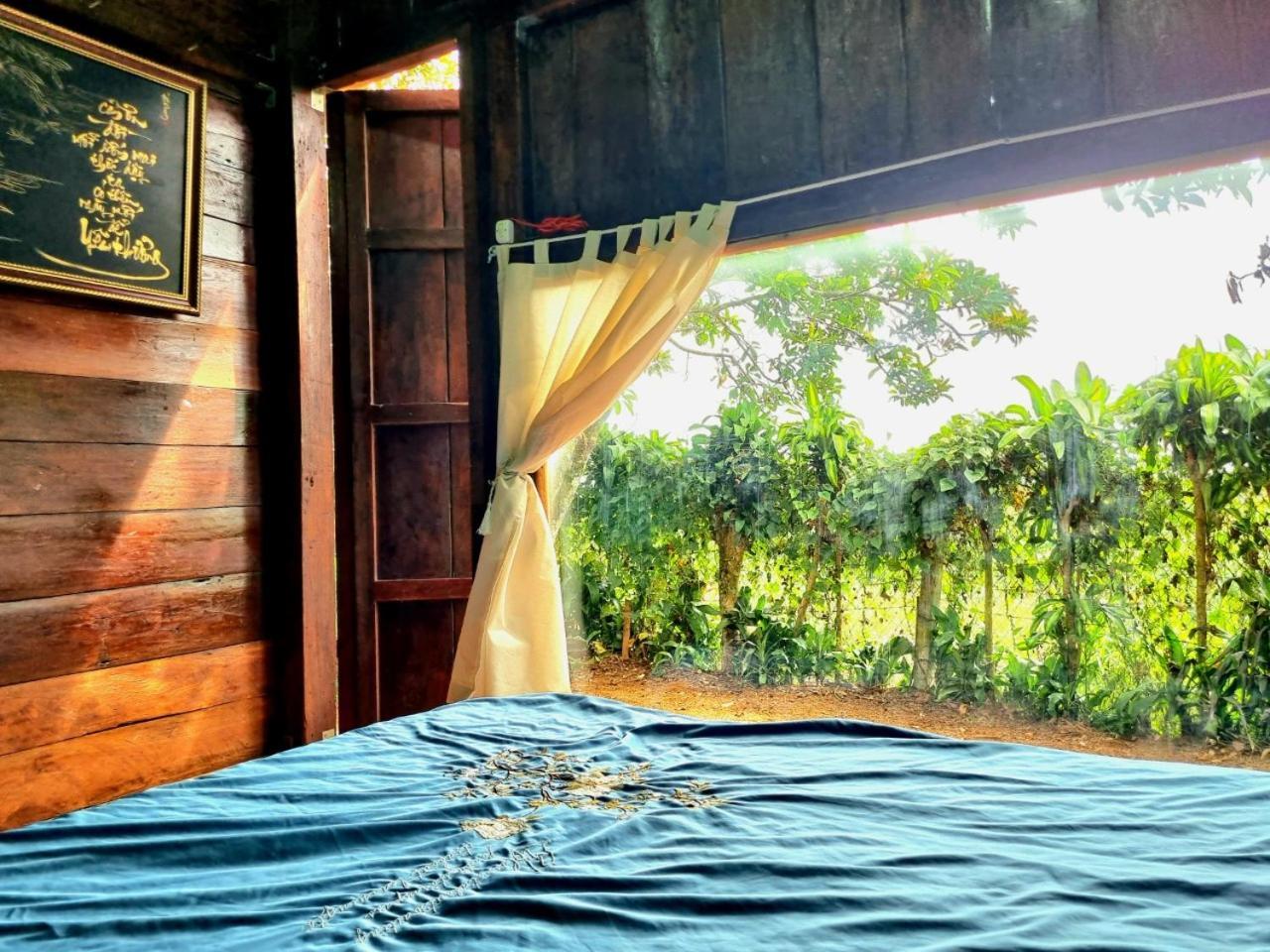 Homestay Vuon Trai Cay Nhiet Doi Vo Uu Garden Bao Loc Exteriör bild