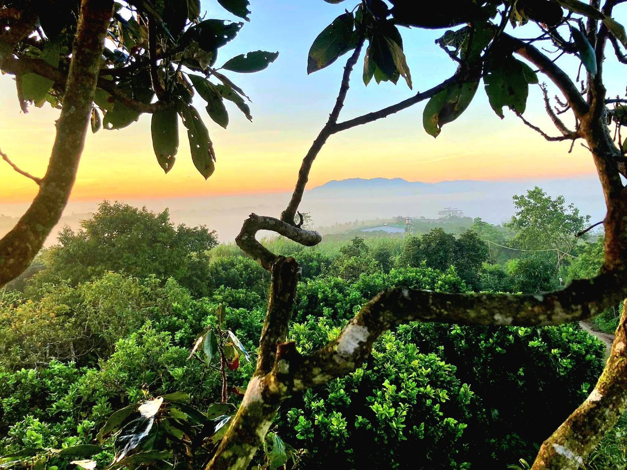 Homestay Vuon Trai Cay Nhiet Doi Vo Uu Garden Bao Loc Exteriör bild