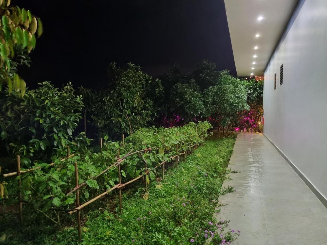 Homestay Vuon Trai Cay Nhiet Doi Vo Uu Garden Bao Loc Exteriör bild