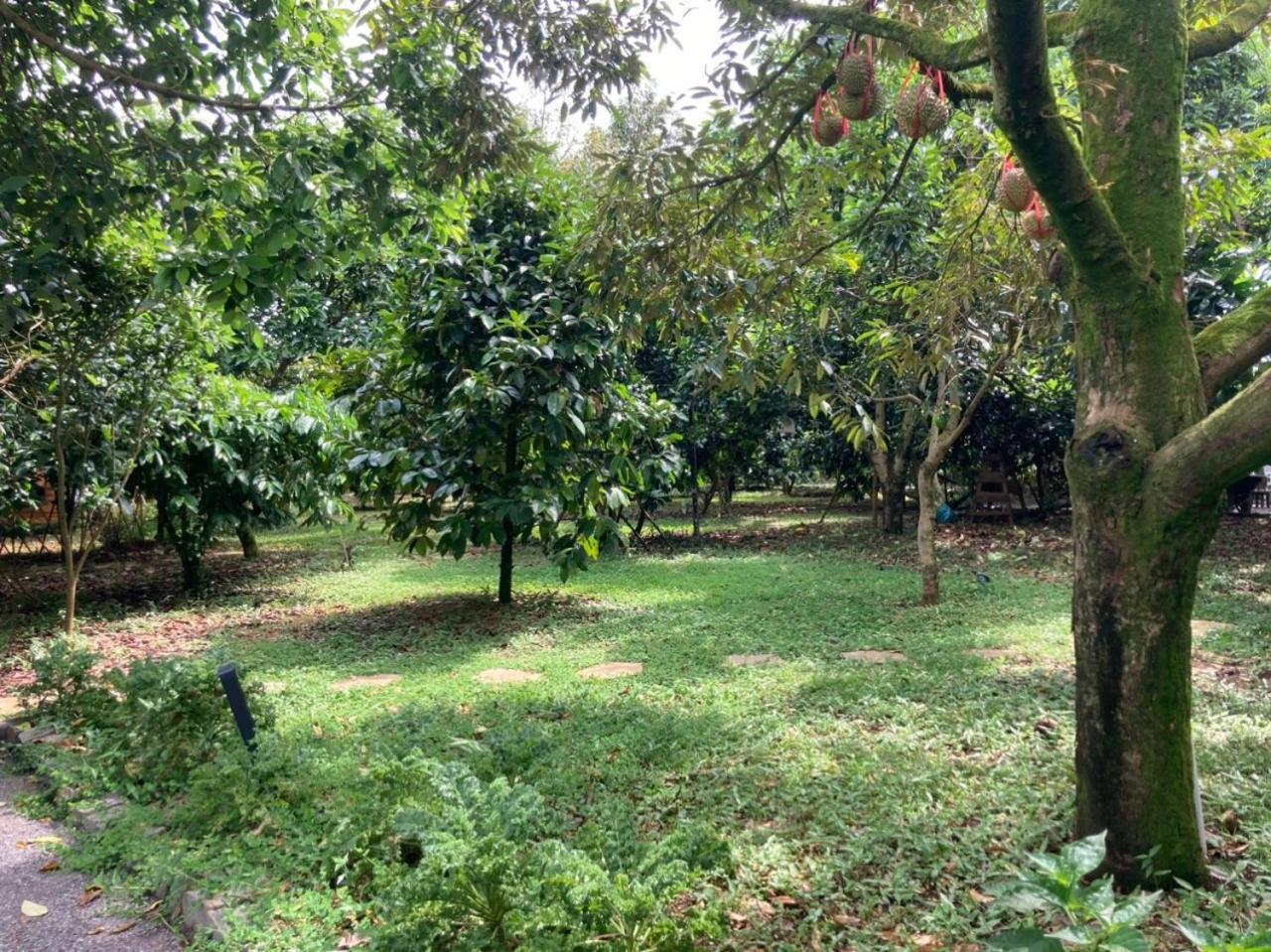 Homestay Vuon Trai Cay Nhiet Doi Vo Uu Garden Bao Loc Exteriör bild