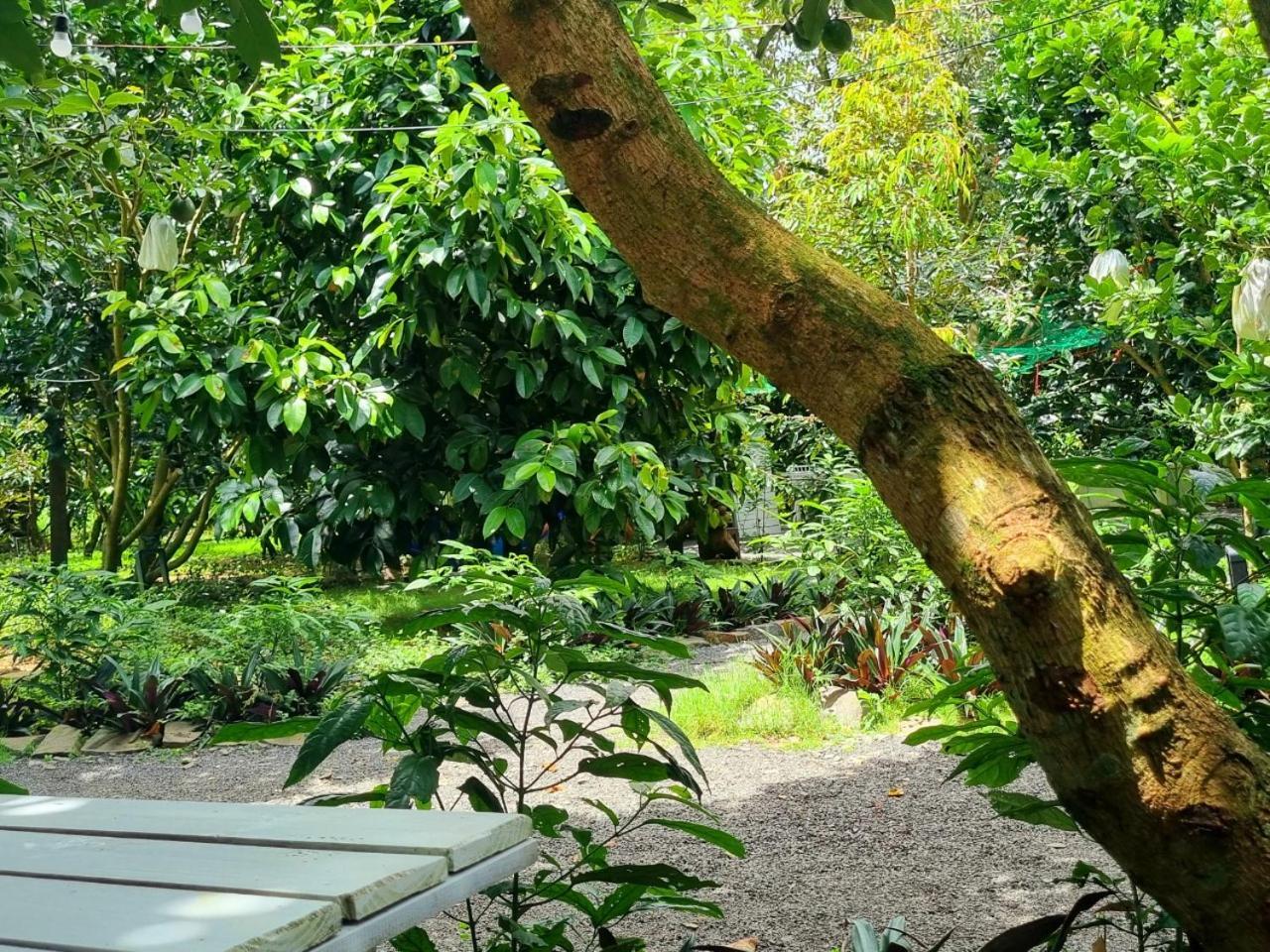 Homestay Vuon Trai Cay Nhiet Doi Vo Uu Garden Bao Loc Exteriör bild