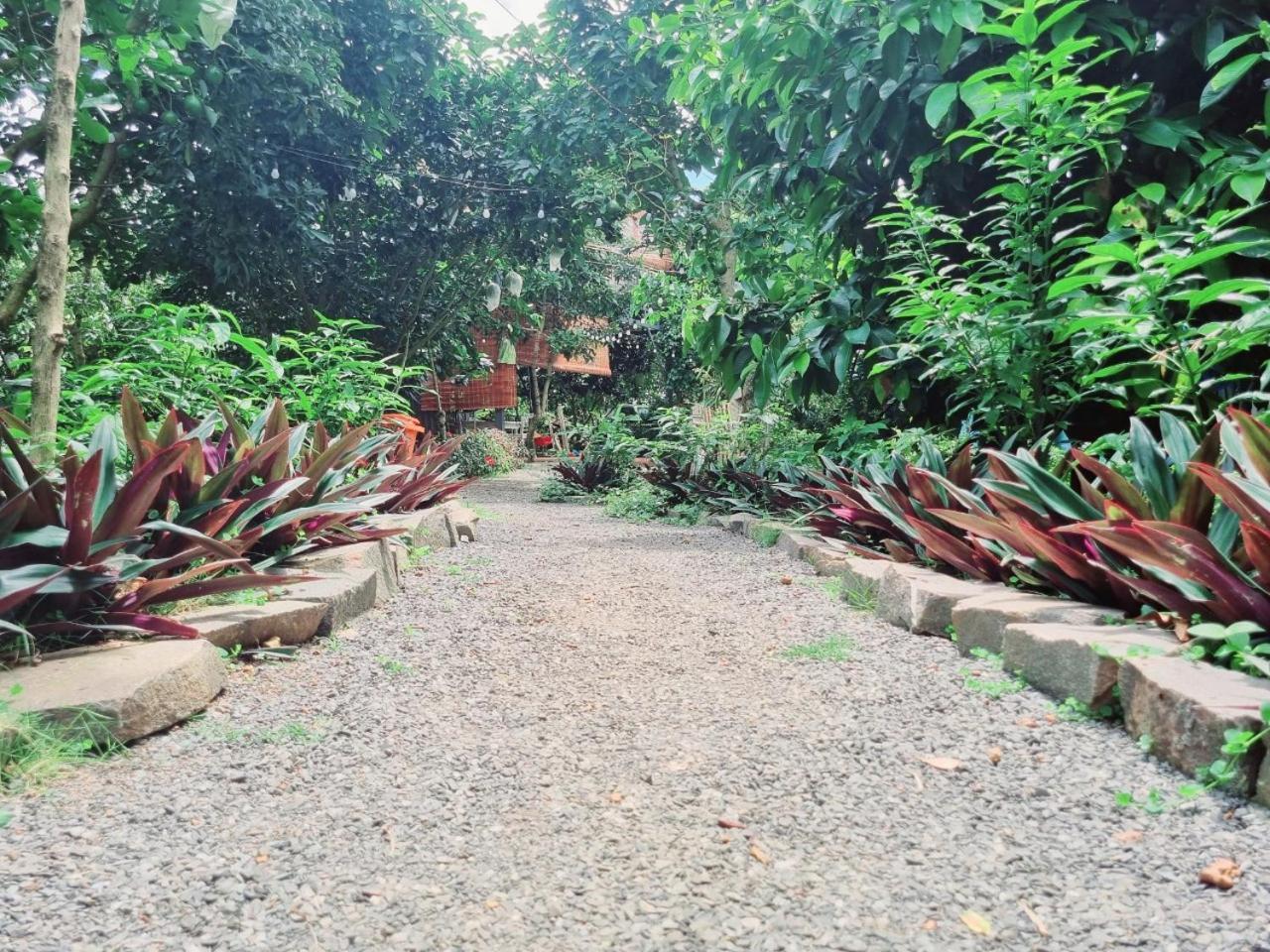 Homestay Vuon Trai Cay Nhiet Doi Vo Uu Garden Bao Loc Exteriör bild