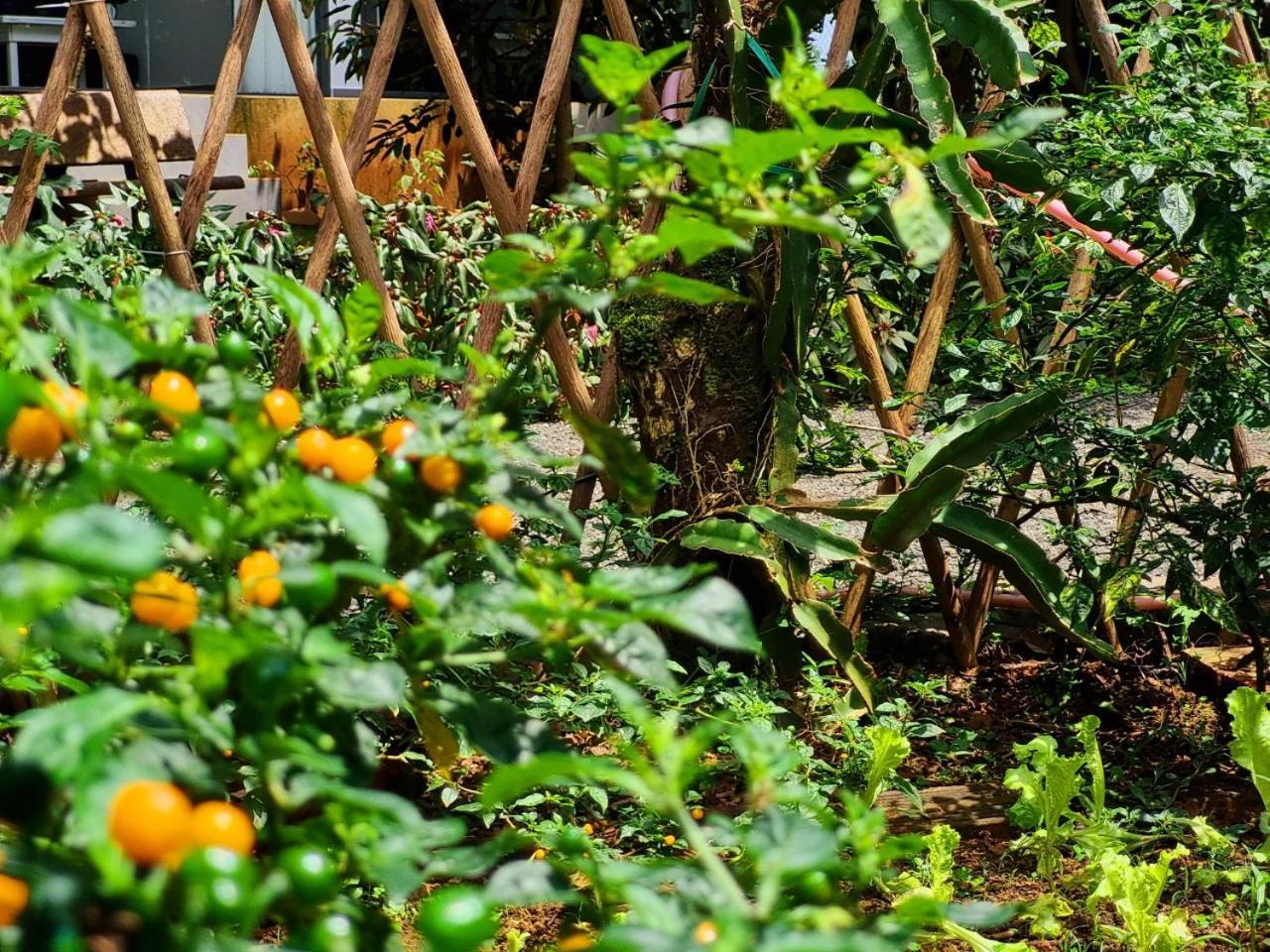 Homestay Vuon Trai Cay Nhiet Doi Vo Uu Garden Bao Loc Exteriör bild
